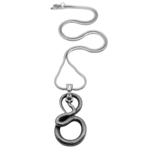 Load image into Gallery viewer, High Grade Stainless Seel Set - Chain and Snake Pendant (SSSETPC016)
