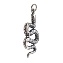 Load image into Gallery viewer, Snake 925 Silver Pendant (925P026)