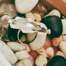 Load image into Gallery viewer, 925 Sterling Silver Ring 007 (925RING007)