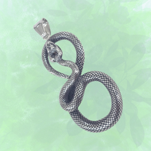 Load image into Gallery viewer, Snake Stainless Steel Pendant (SSP039)