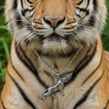 Load image into Gallery viewer, High Grade Stainless Steel Tiger Pendant and Twisted Link Chain Set (SSSETPC036)

