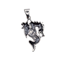 Load image into Gallery viewer, Dragon 3D 925 Sterling Silver Pendant (925P116)
