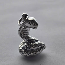 Load image into Gallery viewer, 925 Sterling Silver Cobra Spirit Pendant (925P069)
