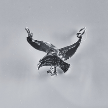 Load image into Gallery viewer, 925 Sterling Silver Pendant landing Eagle (925P060)
