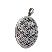 Load image into Gallery viewer, Seed of Love 925 Silver Pendant (925P027)
