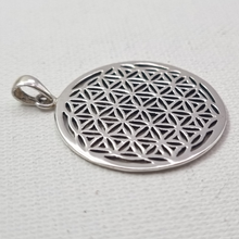 Load image into Gallery viewer, Seed of Love 925 Silver Pendant (925P027)
