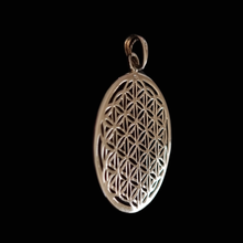 Load image into Gallery viewer, Seed of Love 925 Silver Pendant (925P027)
