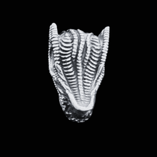 Load image into Gallery viewer, Stainless Steel Pendant 034 (SSP034)

