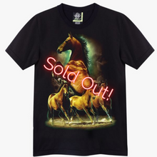 Load image into Gallery viewer, Sold Out!
