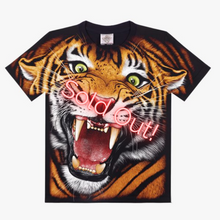 Load image into Gallery viewer, Sold Out!
