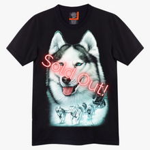 Load image into Gallery viewer, Sold Out!
