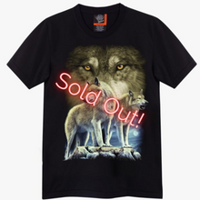 Load image into Gallery viewer, Sold Out!
