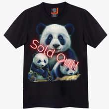 Load image into Gallery viewer, Sold Out!
